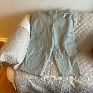 Universal Thread Women’s outdoor look  Cargo Pants - Light Green